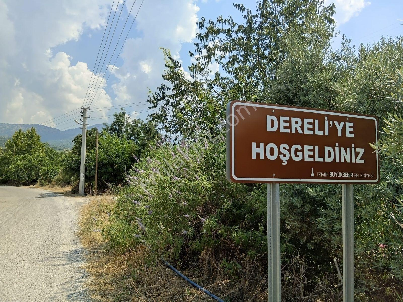Güneş Gayrimenkul'den | Tire Dereli'de 2.897 M² Satılık Verimli