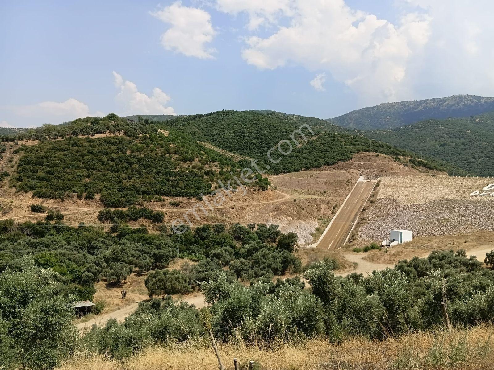 Güneş Gayrimenkul'den | Tire Dereli'de 2.897 M² Satılık Verimli - Görsel 13