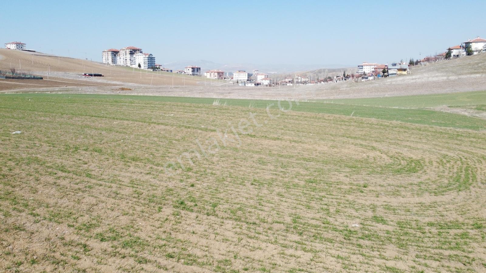 *altınova Da Yüksek Kat İmarlı Daire Getirili Şehrin İçinde* - Görsel 10