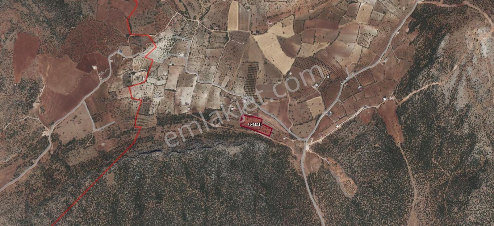 Amazon' Dan Sapaca Mevkinde Satılık Fırsat Bağ Ve Evi - Görsel 3
