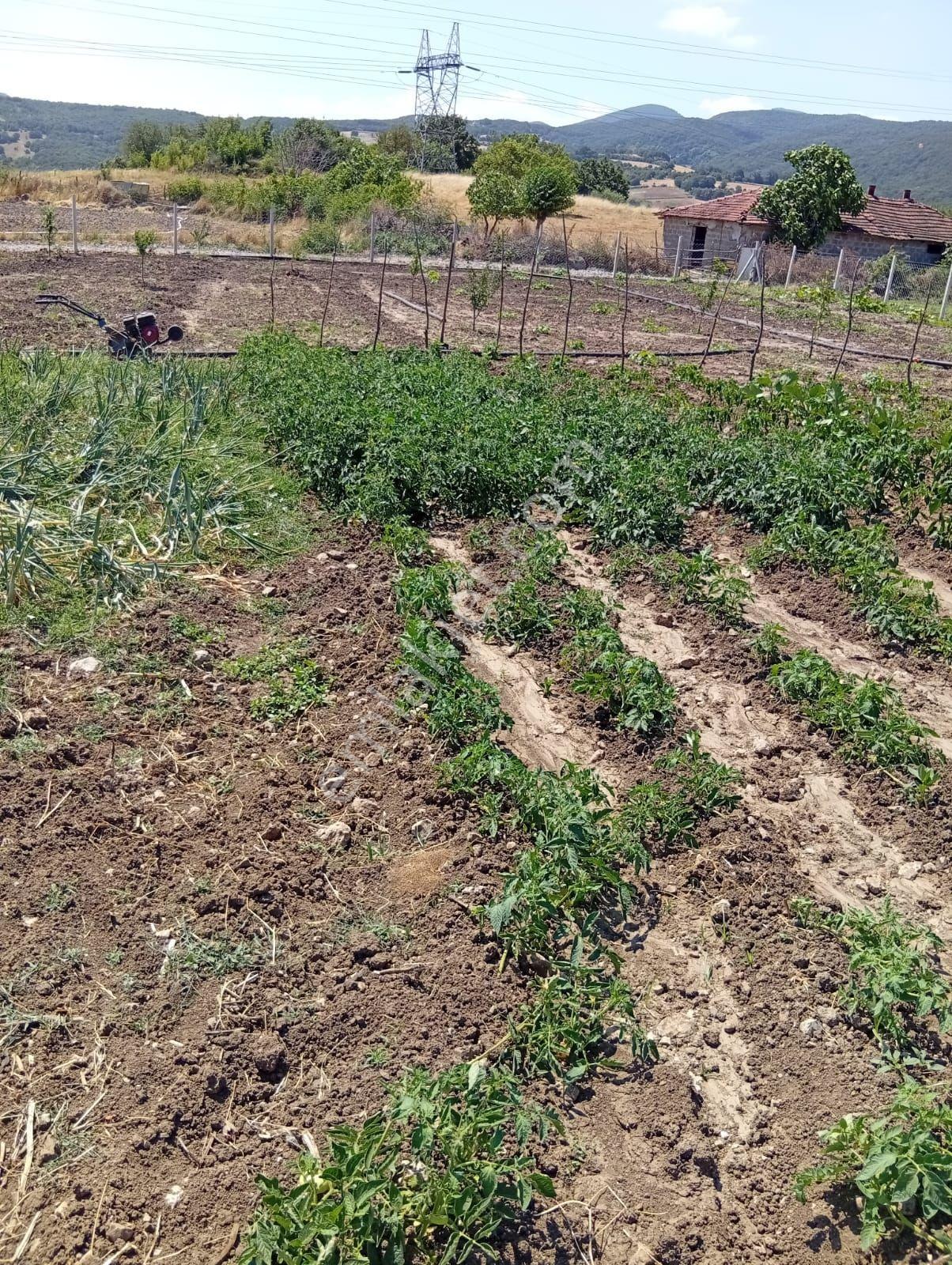 Zeynep Gayrimenkulden Balıkesir Gönen. Kumköy Mah 979m2 Satılık Tarla - Görsel 21