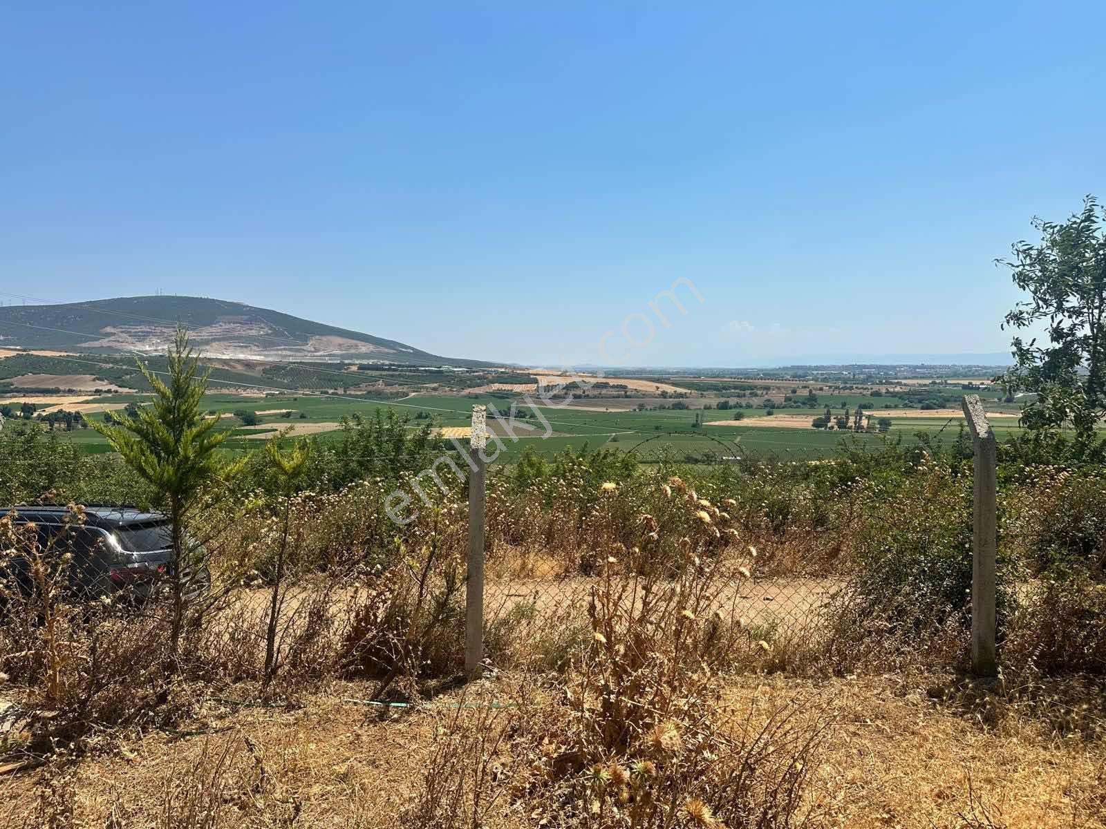 Remax Area Karasu Da Satılık Çitli 2200 M2 Tarla Ve Konteyner - Görsel 6