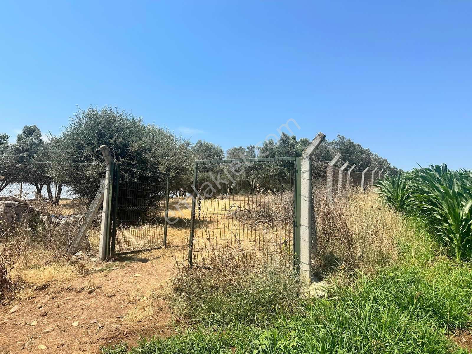 Remax Area Karasu Da Satılık Çitli 2200 M2 Tarla Ve Konteyner - Görsel 26