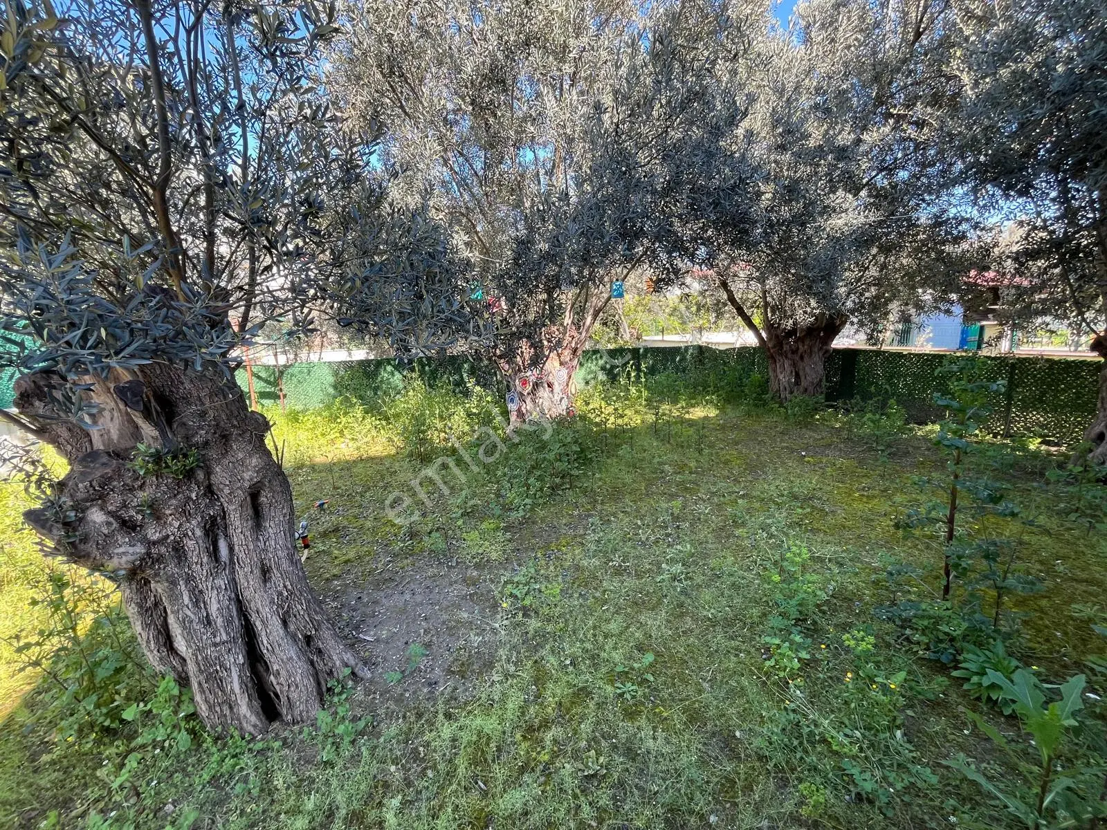 Altınoluk'ta Geniş Bahçeli, Müstakil Yaşam Sunan İkiz Villa! - Görsel 40
