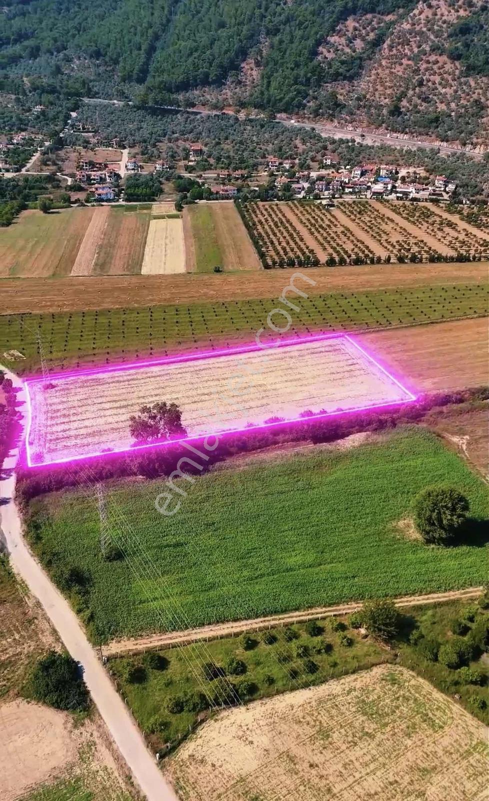 Muğla Akyaka 10.952 M² Tek Tapu Tarla - Görsel 5