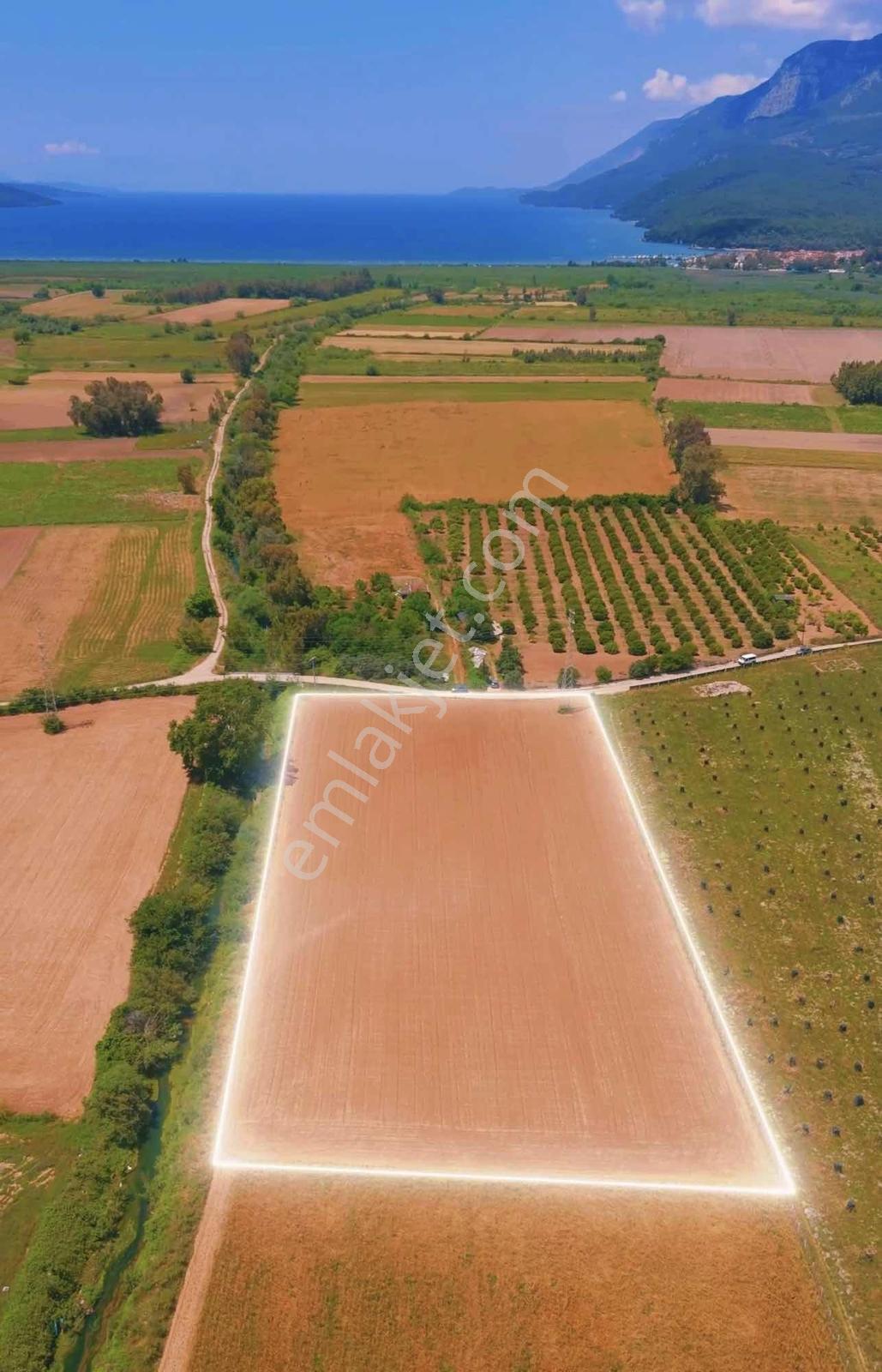 Muğla Akyaka 10.952 M² Tek Tapu Tarla - Görsel 2