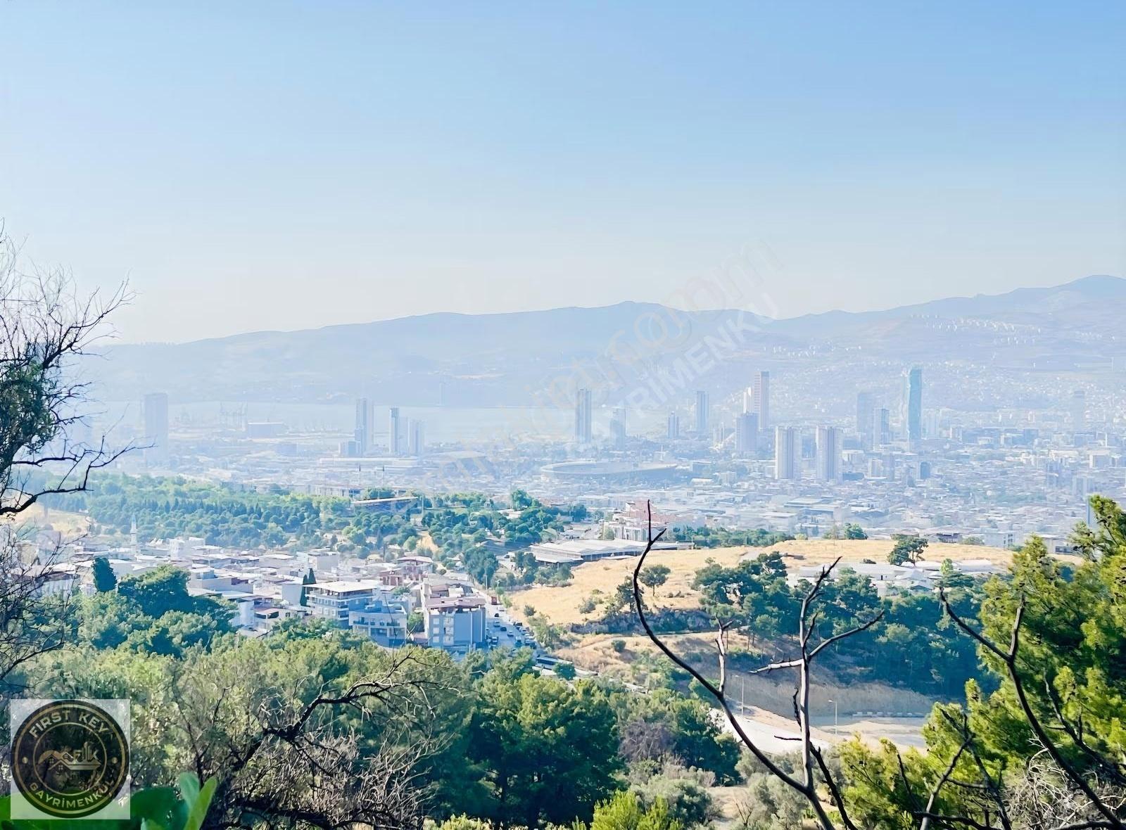 İzmir Çamkule'de 11.440.000 M² Satılık Zeytinlik - Görsel 9