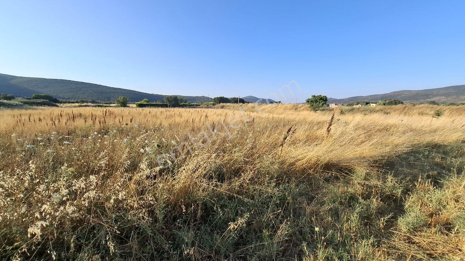 Barbaros'ta Ulaşımı Kolay, Yatırıma Uygun Arazi - Görsel 3