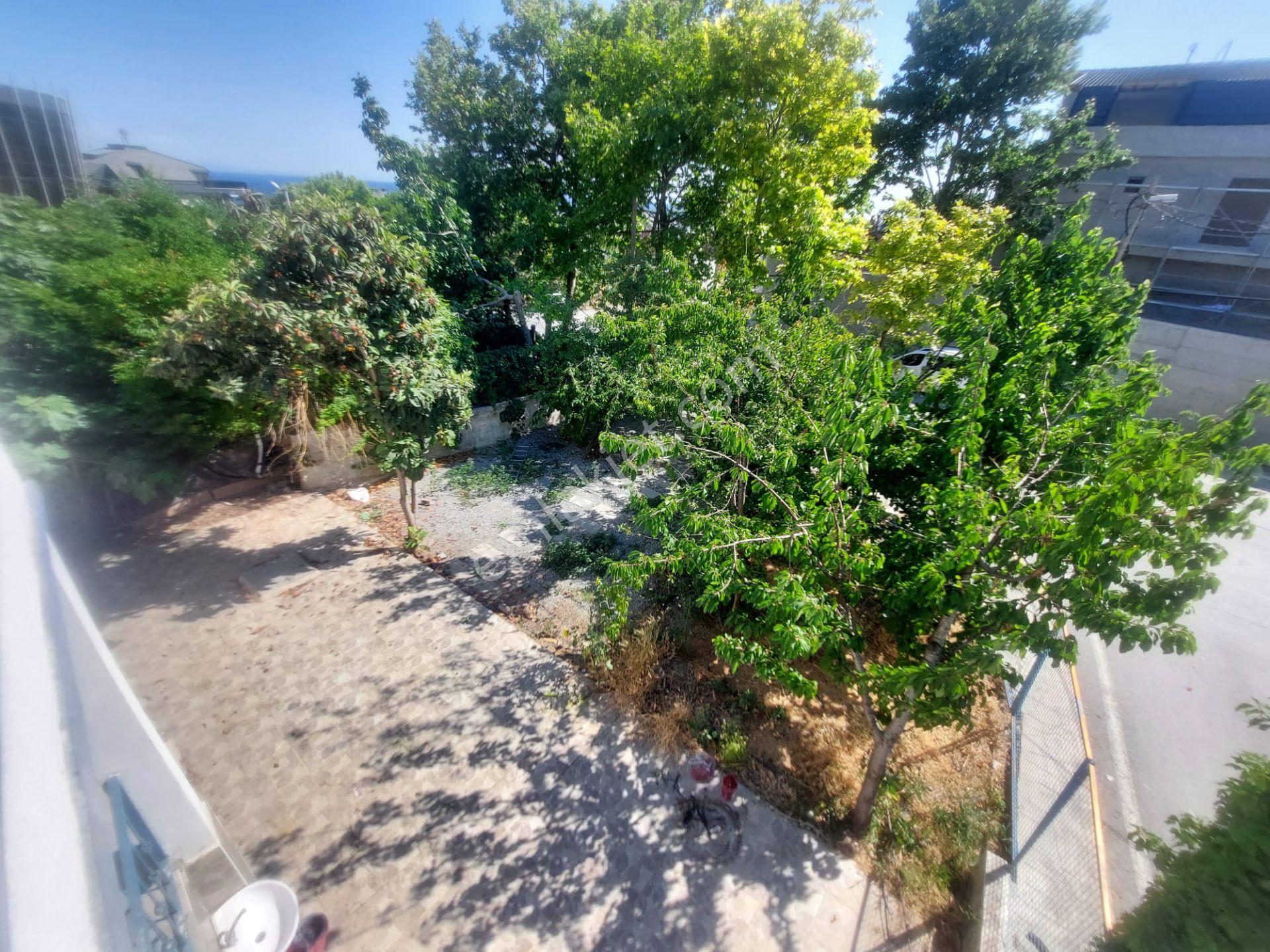 Beylikdüzü Sahil Mah. 250 M² Kiralık 6+1 Müstakil Bahçeli Villa - Görsel 15