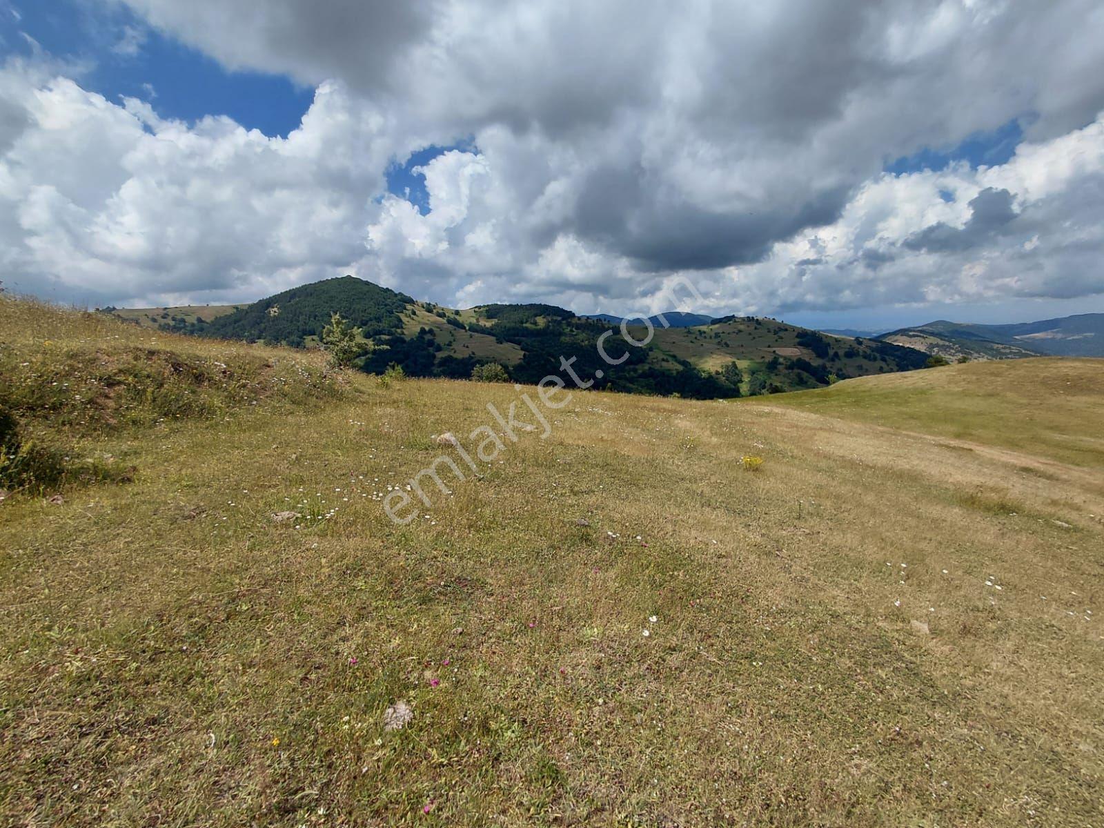 Ahşena'dan Samsun Alaçamda Deniz Manzaralı 1009 M2 Satılık Arazi - Görsel 11