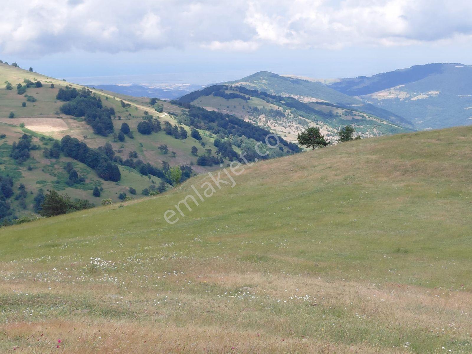 Ahşena'dan Samsun Alaçamda Deniz Manzaralı 1009 M2 Satılık Arazi - Görsel 15