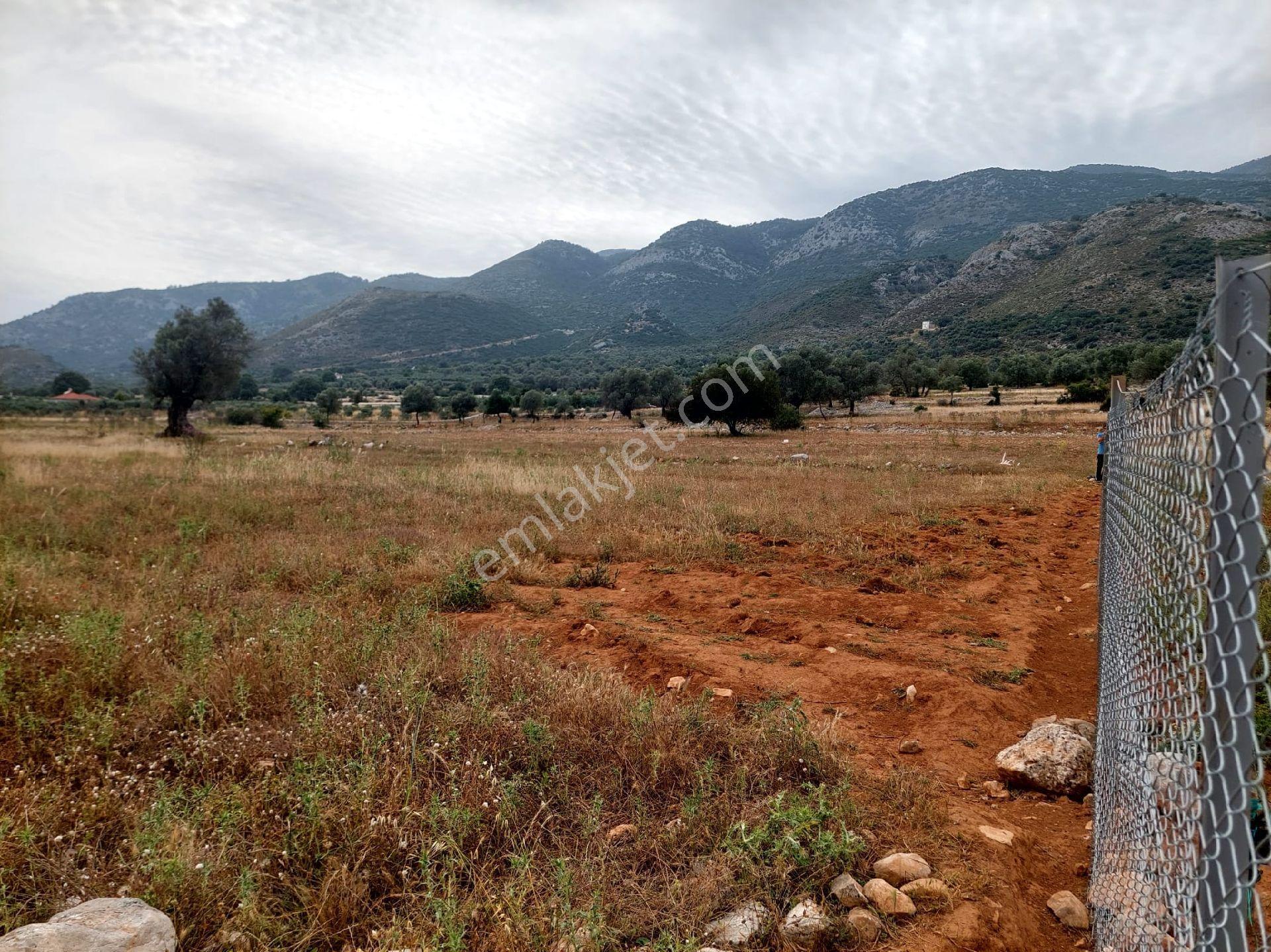 Muğla-seydikemer-izzettin Köyünde Müstakil Tapu (2.538)m² Tarla-yolüstü - Görsel 8