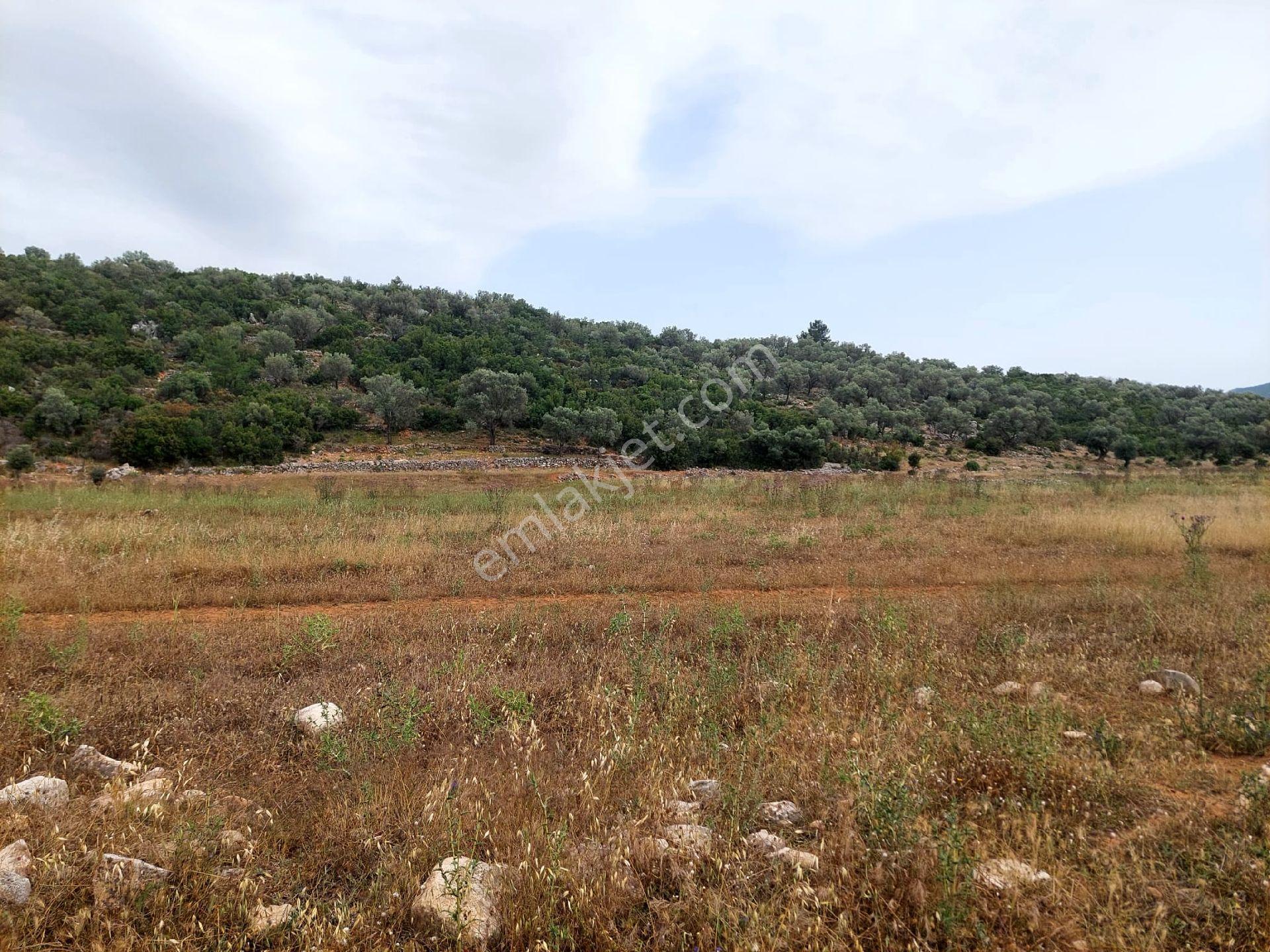 Muğla-seydikemer-izzettin Köyünde Müstakil Tapu (2.538)m² Tarla-yolüstü - Görsel 10