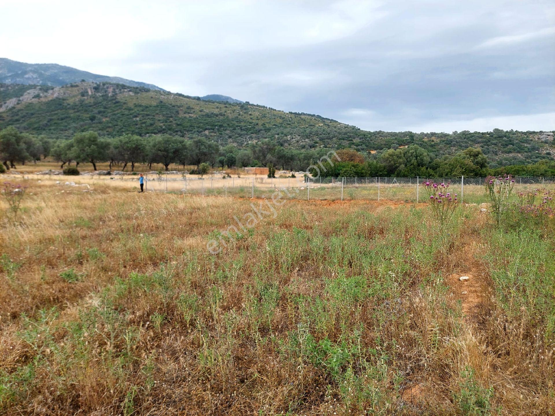 Muğla-seydikemer-izzettin Köyünde Müstakil Tapu (2.538)m² Tarla-yolüstü - Görsel 5