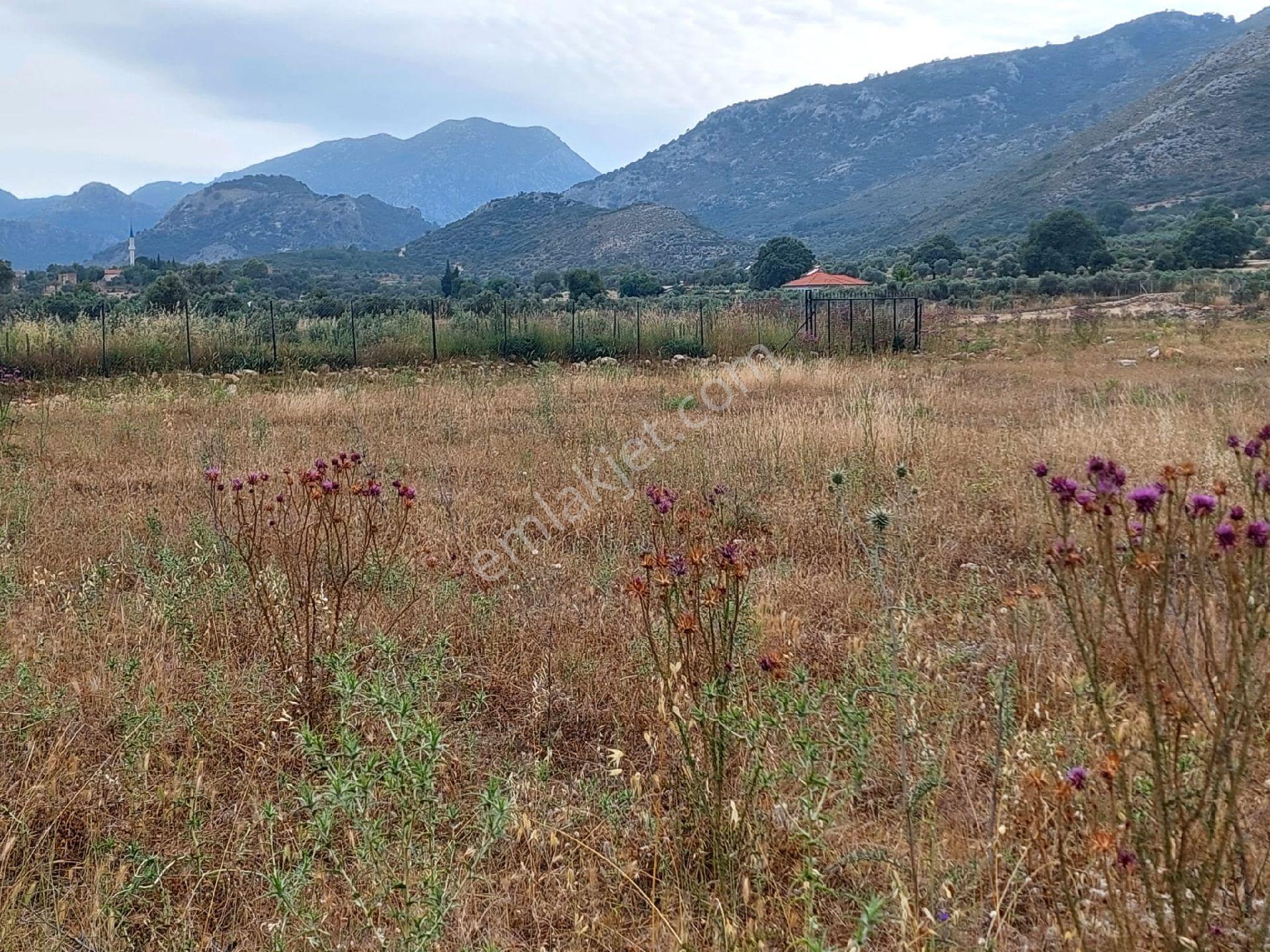 Muğla-seydikemer-izzettin Köyünde Müstakil Tapu (2.538)m² Tarla-yolüstü
