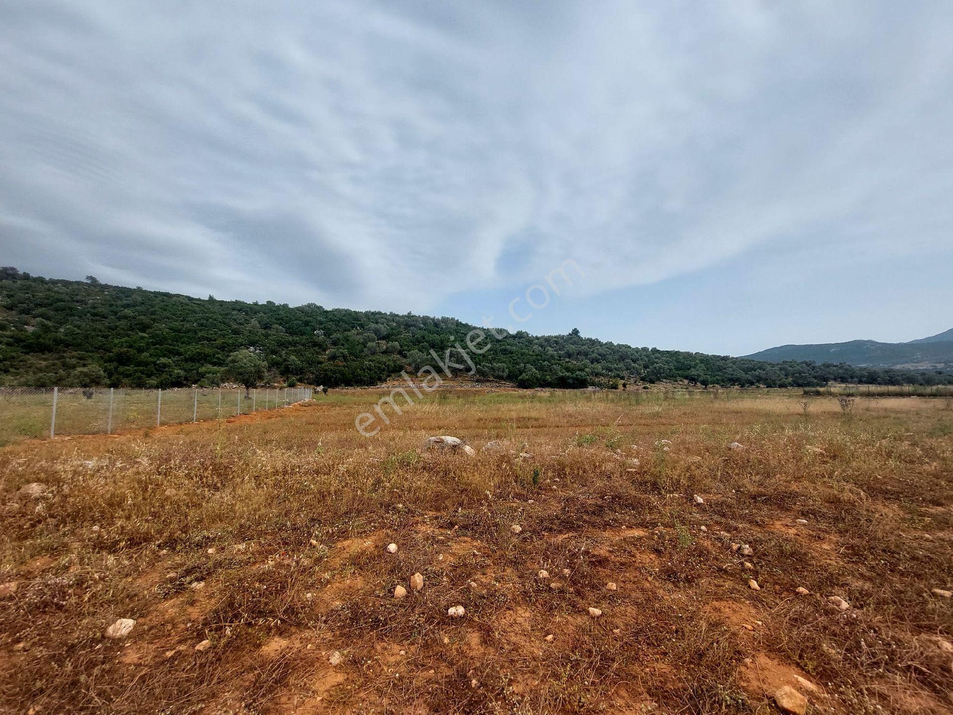 Muğla-seydikemer-izzettin Köyünde Müstakil Tapu (2.538)m² Tarla-yolüstü - Görsel 9