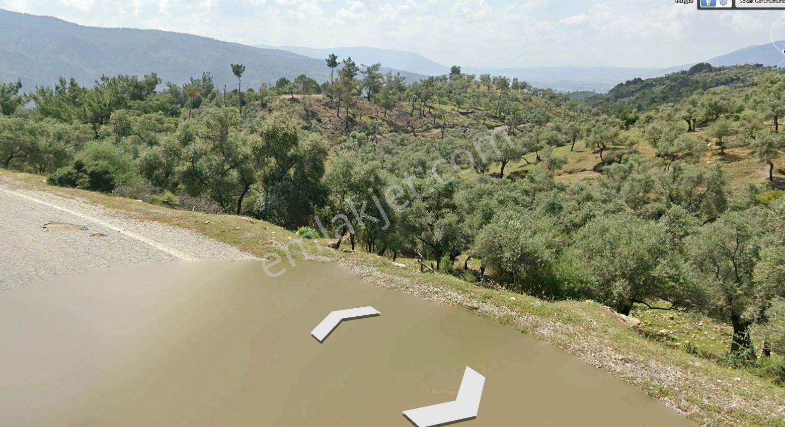 Muğla Milas Kargıcak'ta Müstakil Tapulu Satılık Yatırımlık Arazi - Görsel 10