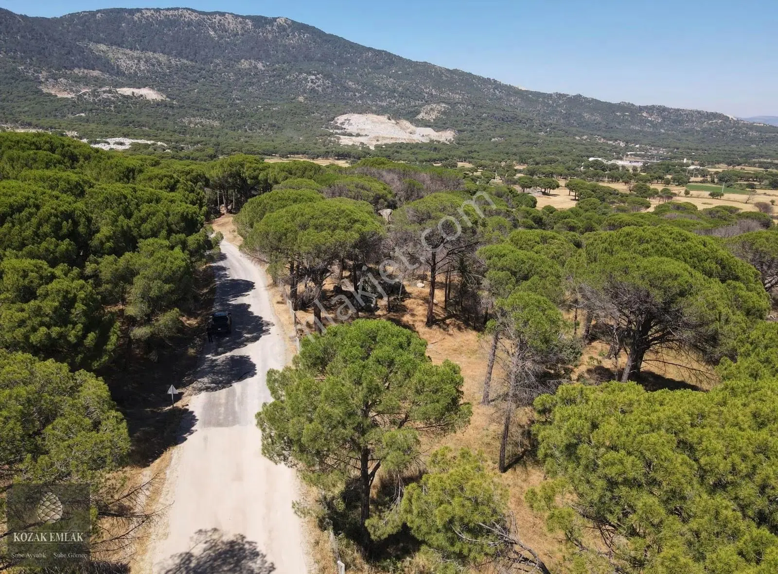 Bergama Kozak Aşagıçuma Fıstık Çamlığı 7.440m2 Satılık - Görsel 34