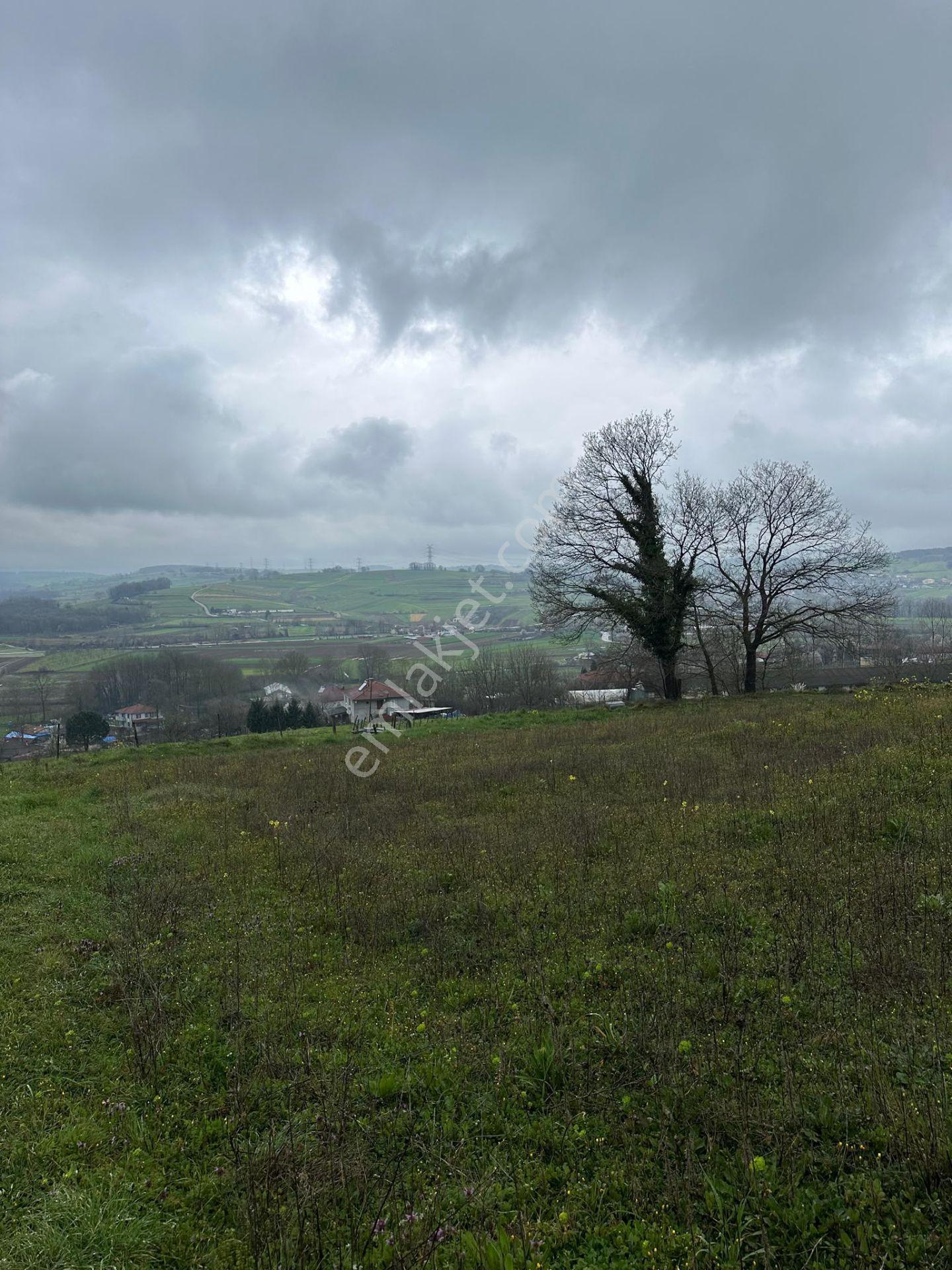 Sakarya Kayrancık 500 M2 Satılık Tarla - Görsel 4