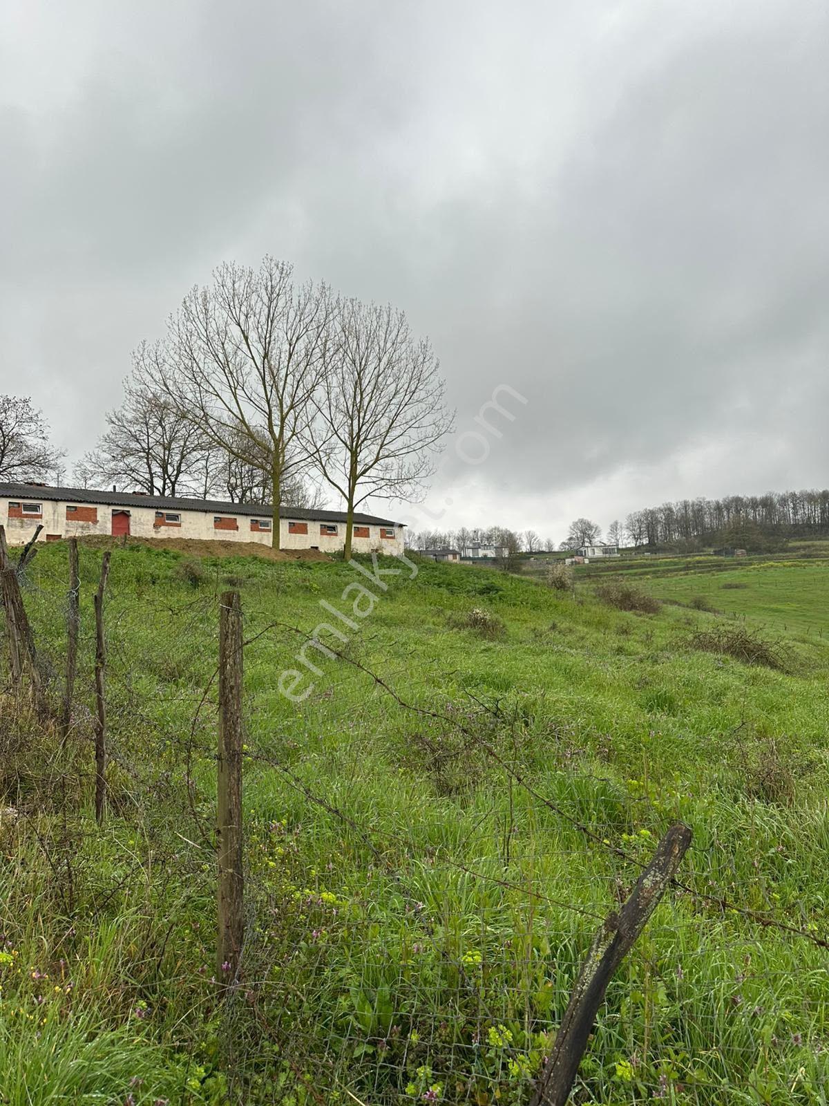 Sakarya Kayrancık 500 M2 Satılık Tarla - Görsel 2