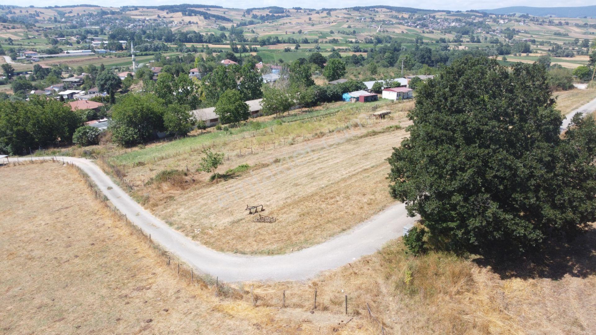Sakarya Kayrancık 500 M2 Satılık Tarla - Görsel 9