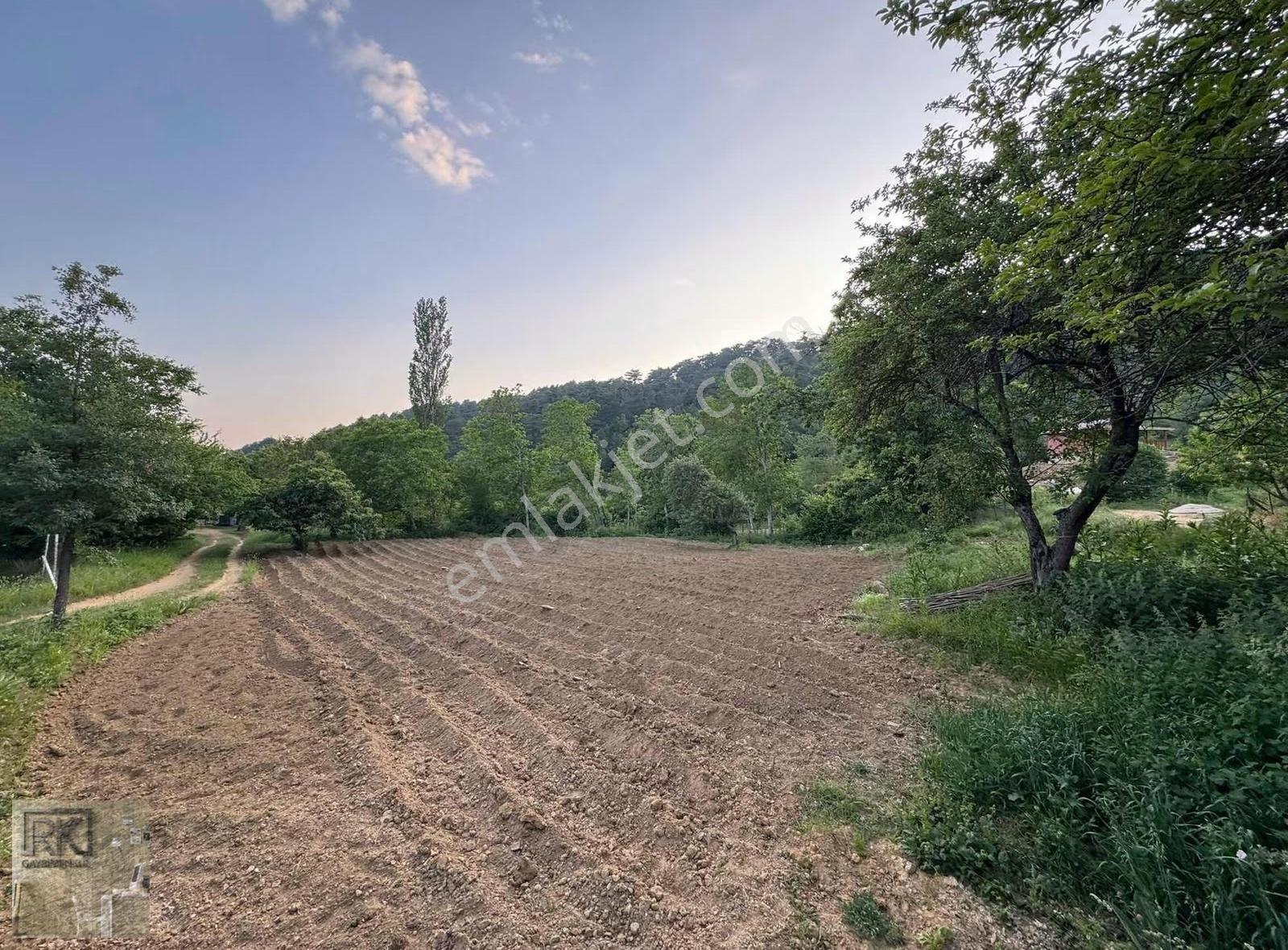 R.k Dan Bursa Osmangazi Kirazlı'da Satılık 1572 M² Tarla