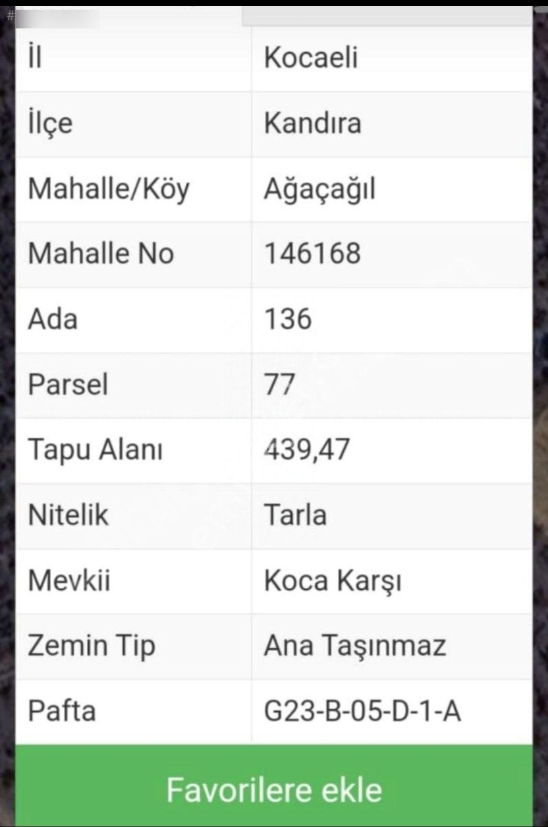 Kandıra Ağaçagılda Fındıklık Tarla