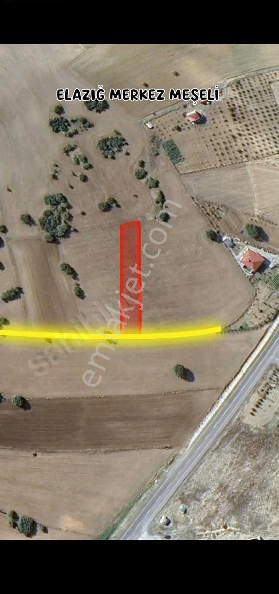 Meşeli Köyü Yola 50mt Manzaralı Hobi Bahçesi - Görsel 5