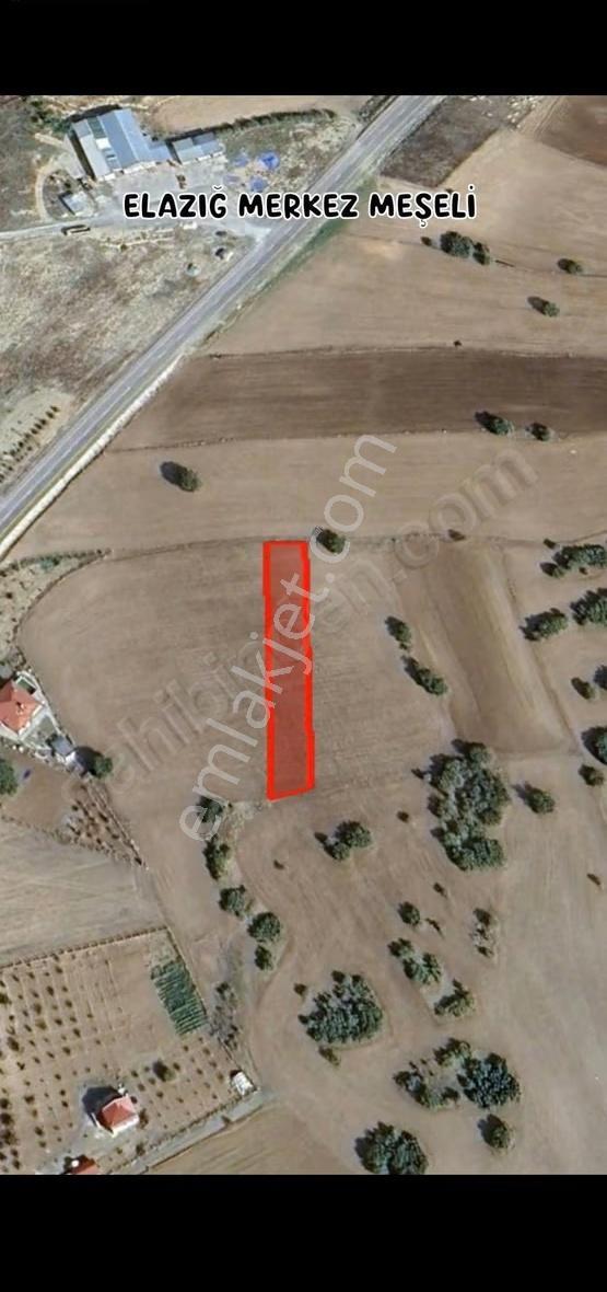 Meşeli Köyü Yola 50mt Manzaralı Hobi Bahçesi - Görsel 7