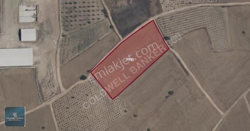 Denizli Baklan Çataloba'da Satılık Hisseli Tarla