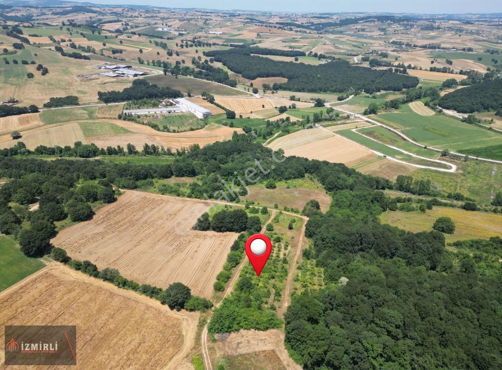 Sakarya Adapazarı Korucuk'ta Satılık 500 M² İmarlı Arsa - Görsel 3