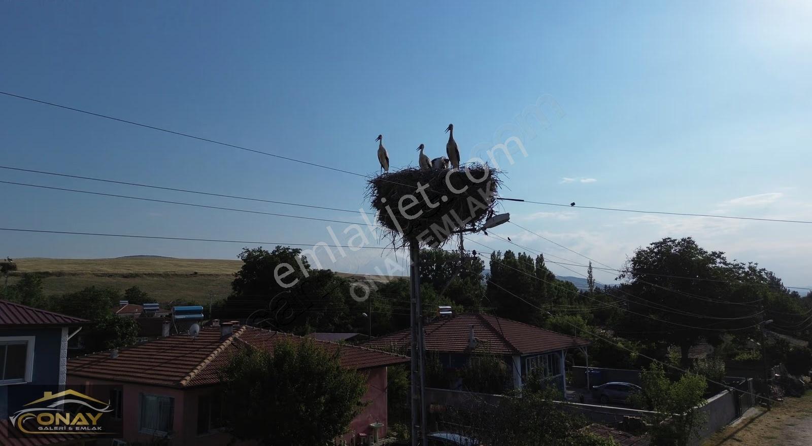Onay Emlak'tan Satılık Saygılı Köyünde 1 Dönüm Arsa - Görsel 3