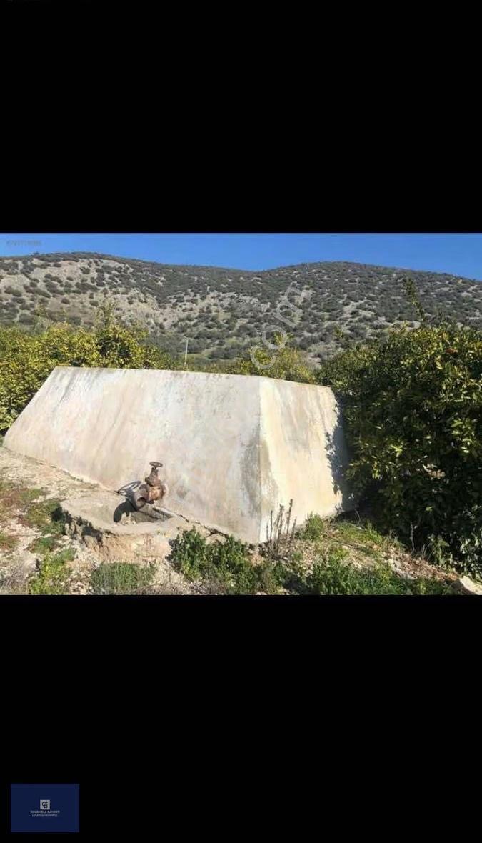Selçuk İsabey'de Müstakil Tapu Köşe Parsel Mandalina Bahçesi - Görsel 9