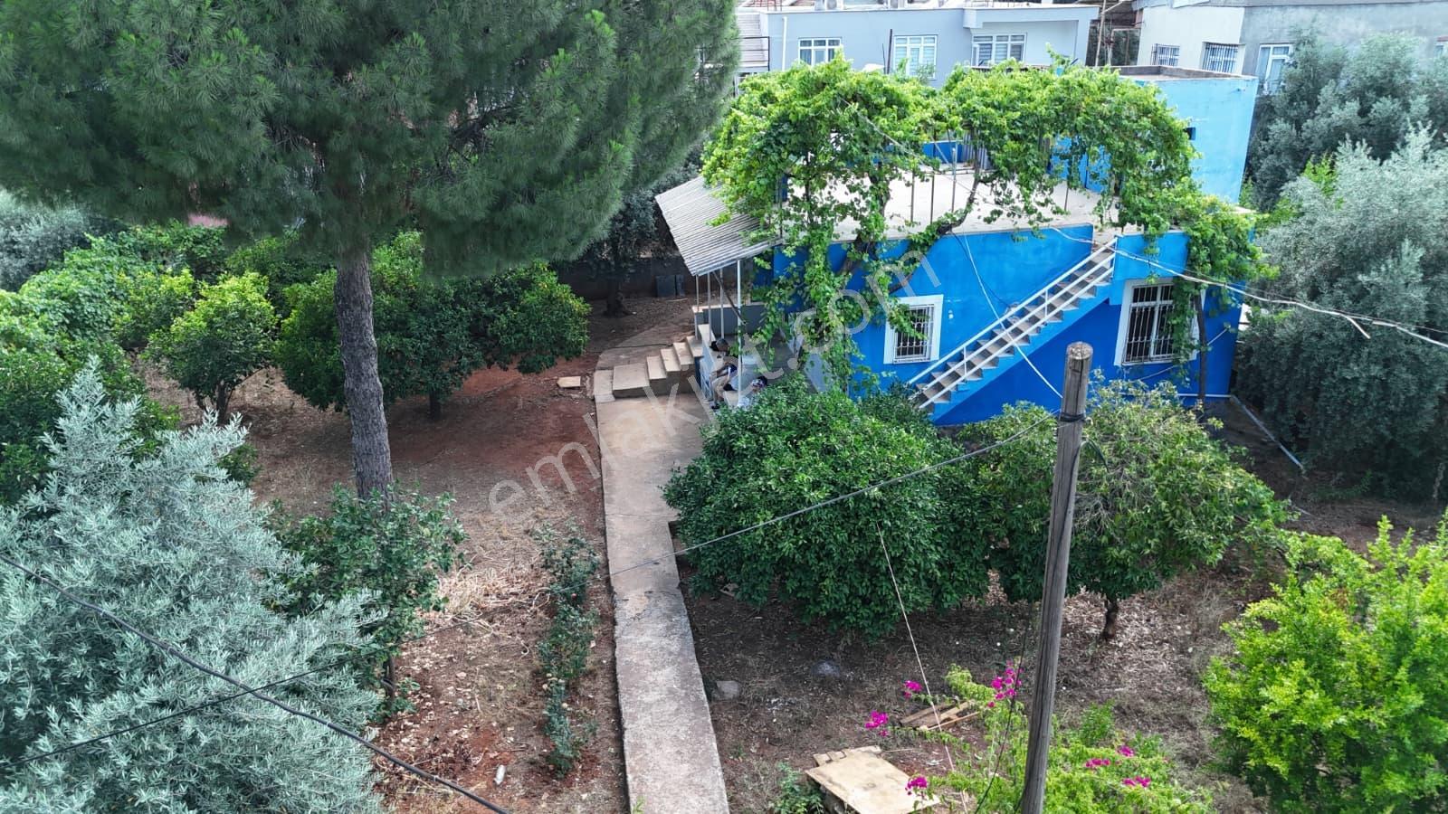 Altınova Da İmarlı 421m2 Arsa İçerisinde Satılık Müstakil Ev - Görsel 9