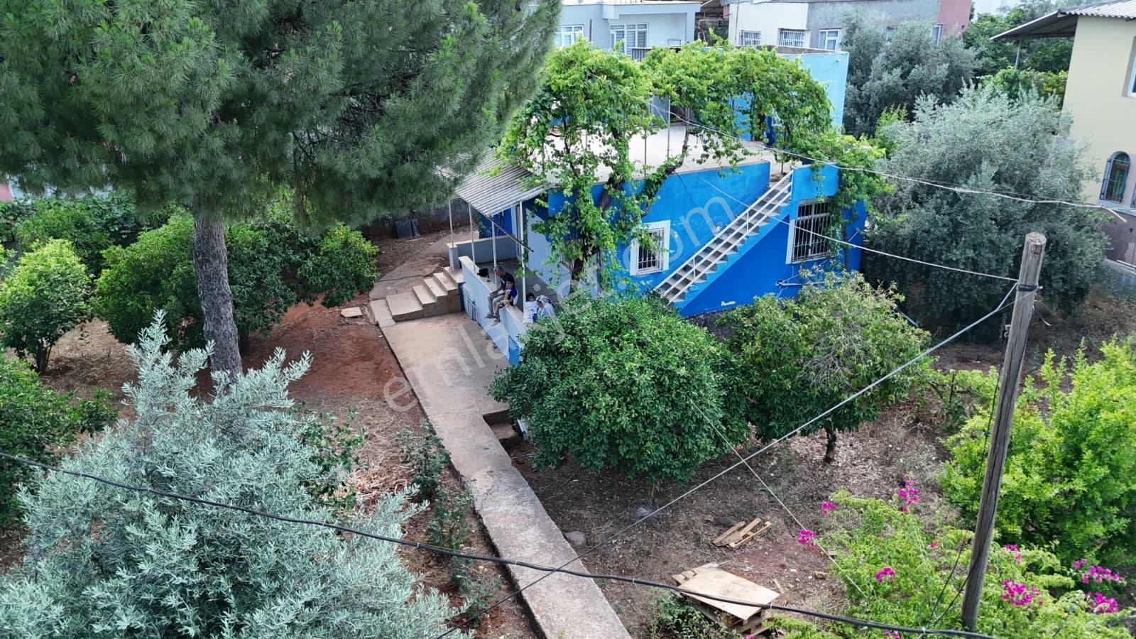 Altınova Da İmarlı 421m2 Arsa İçerisinde Satılık Müstakil Ev - Görsel 25