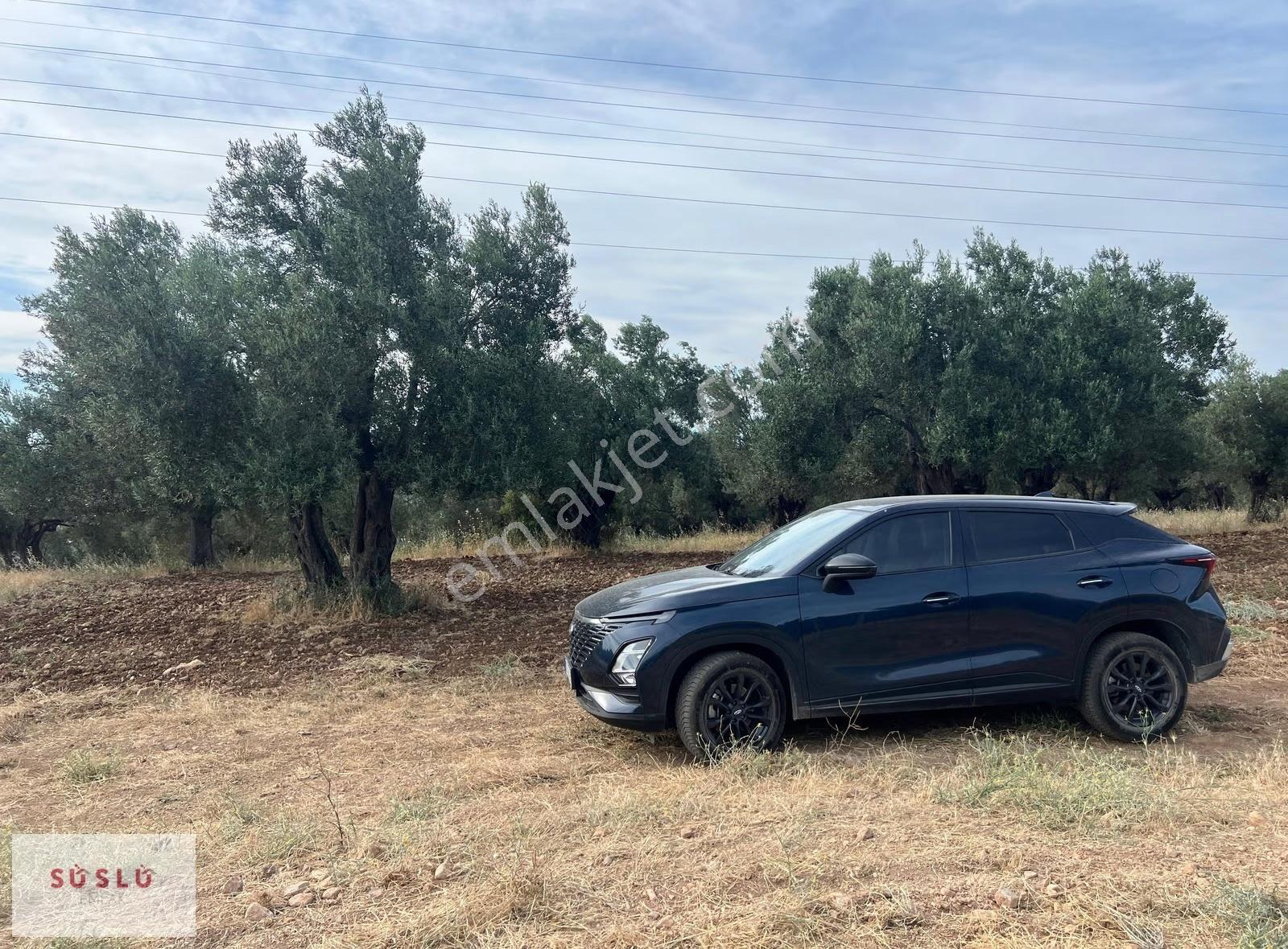 Ayvalık Fethiye Bıyıklı Mevkin Satılık Zeytinlik Ve Müstakil Ev - Görsel 18