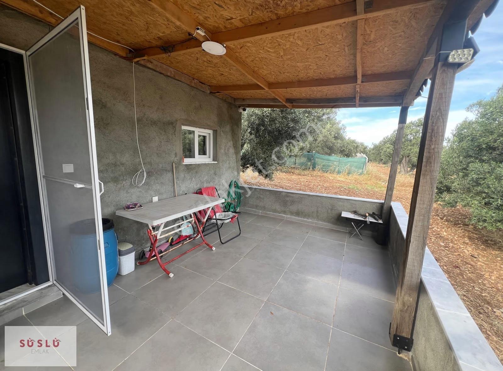 Ayvalık Fethiye Bıyıklı Mevkin Satılık Zeytinlik Ve Müstakil Ev - Görsel 5
