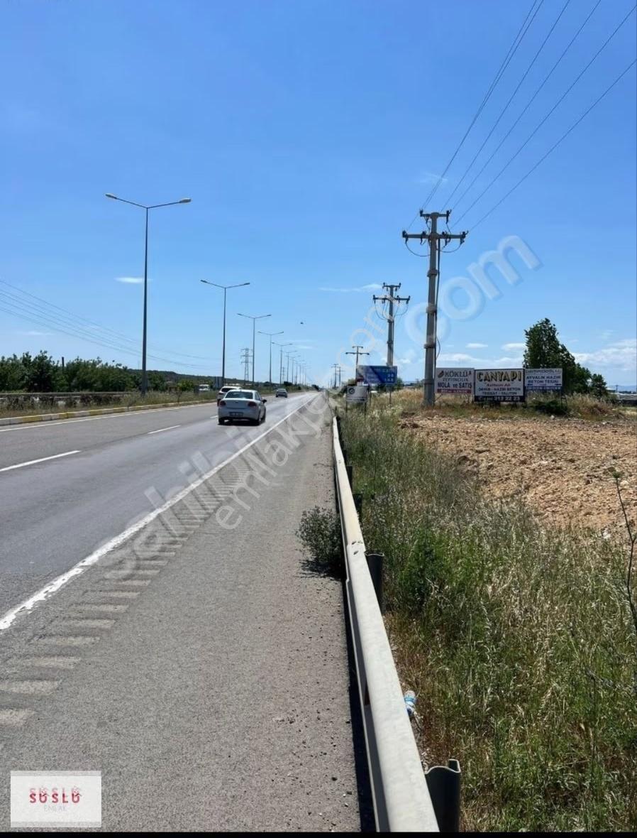 Ayvalık Gazikemalpaşada Kiralık Tarla - Görsel 7