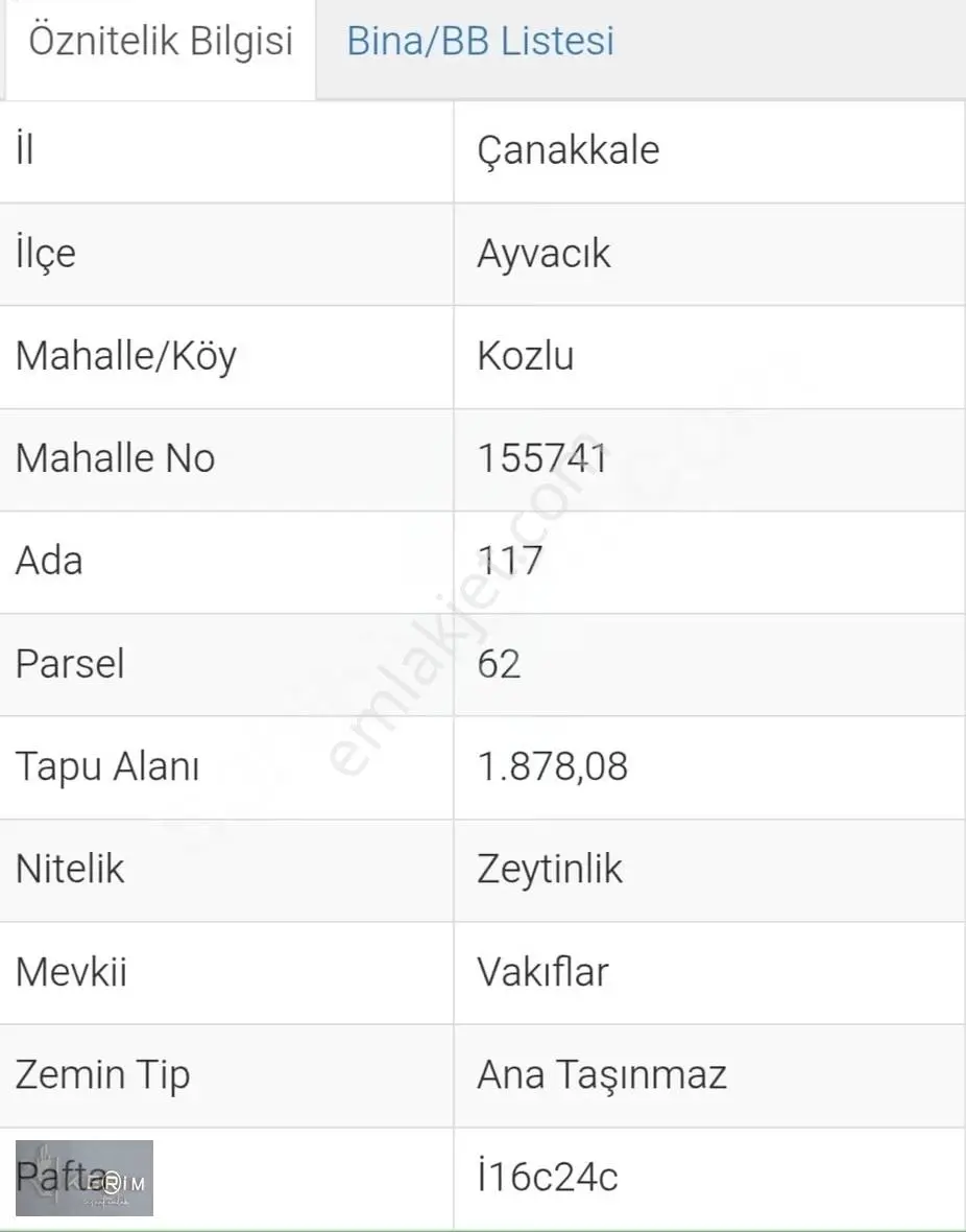 &kerim'den Satılık Ege İncisi Kozlu'da Yatırımlık Zeytinlik - Görsel 11