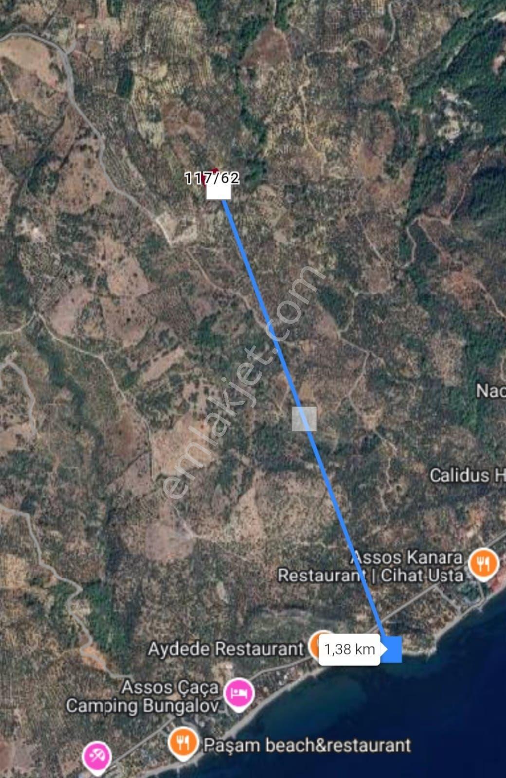 &kerim'den Satılık Ege İncisi Kozlu'da Deniz Manzaralı Yatırımlık Zeytinlik - Görsel 11
