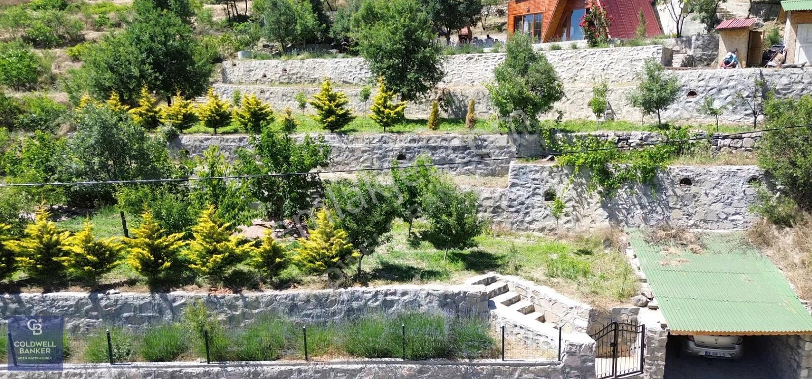 Ayaş Karadere Bağları'nda 1594 M² Bağ-bahçe - Görsel 7