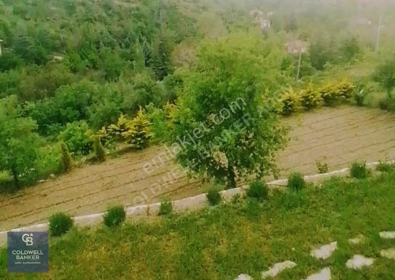 Ayaş Karadere Bağları'nda 1594 M² Bağ-bahçe - Görsel 2
