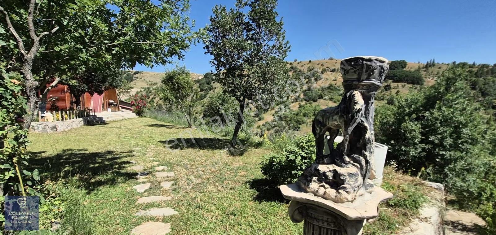 Ayaş Karadere Bağları'nda 1594 M² Bağ-bahçe - Görsel 15