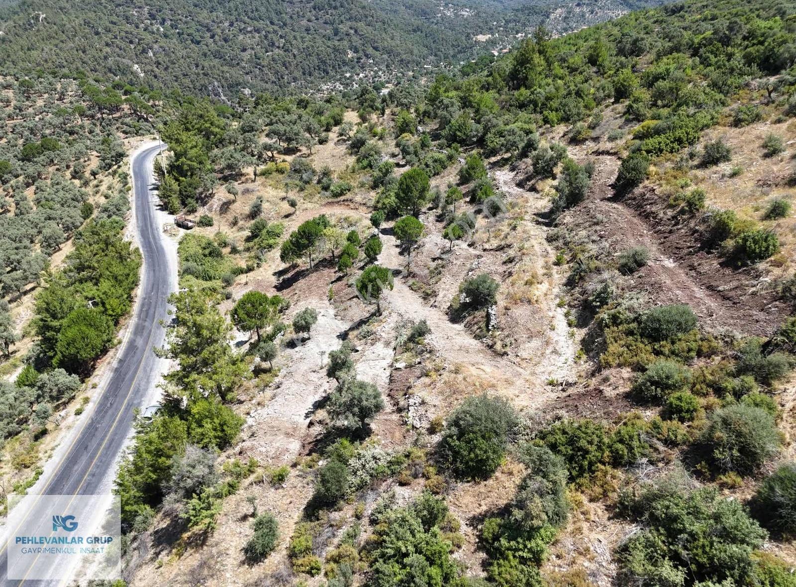 Milas'ta Asfalt Yolasıfır 4477m² Müstakil Zeytinlik Araç Takaslı - Görsel 2