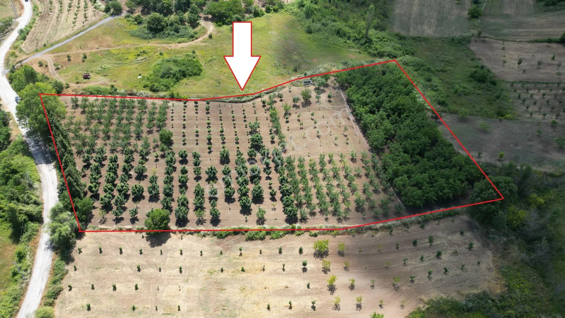 Kocaeli Karamürsel Akçat Satılık 12.642 M2 Meyve Bahçesi