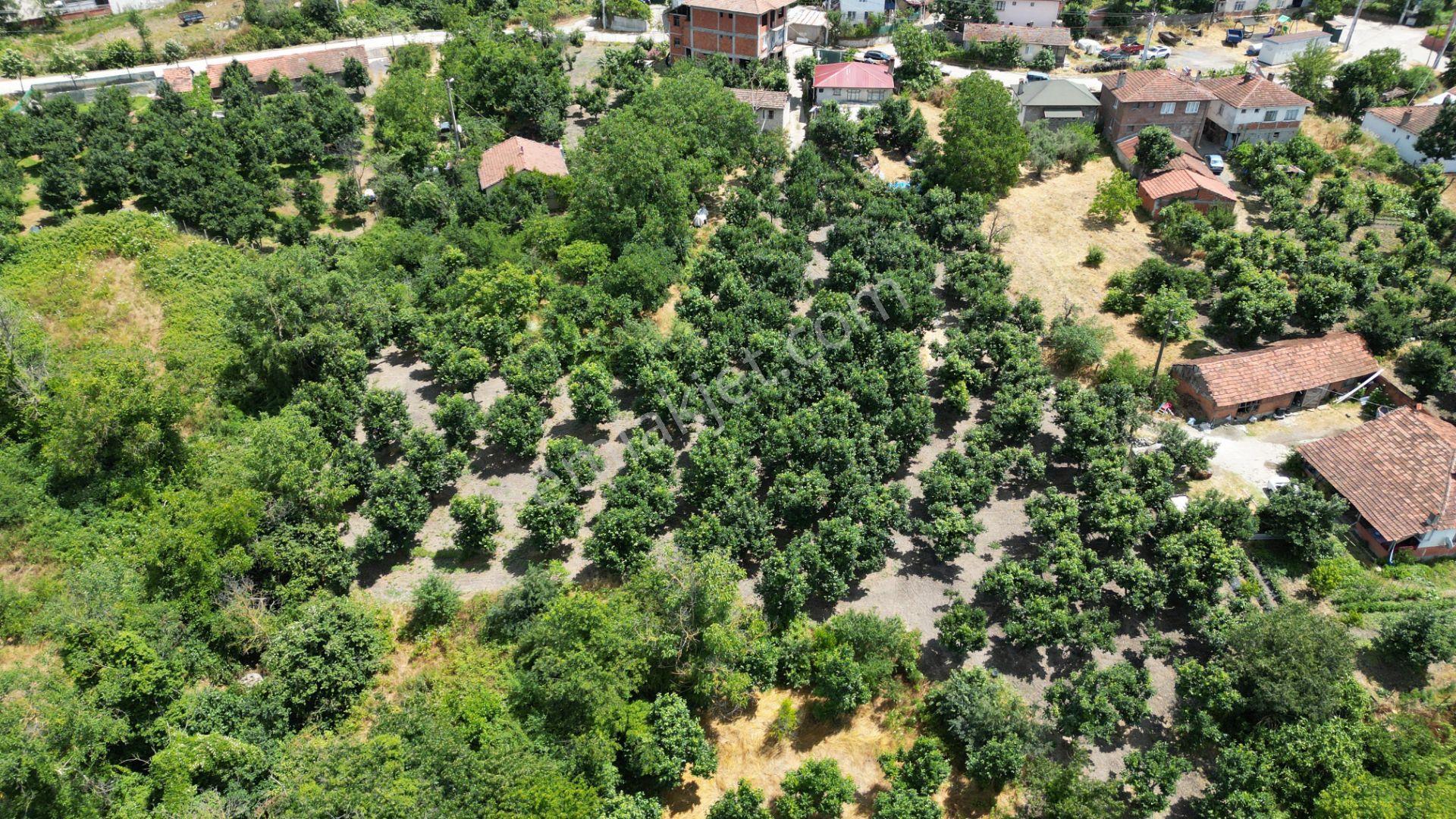 Kocaeli Karamürsel Akçat 860 M2 Konut İmarlı Satılık Bahçe - Görsel 15