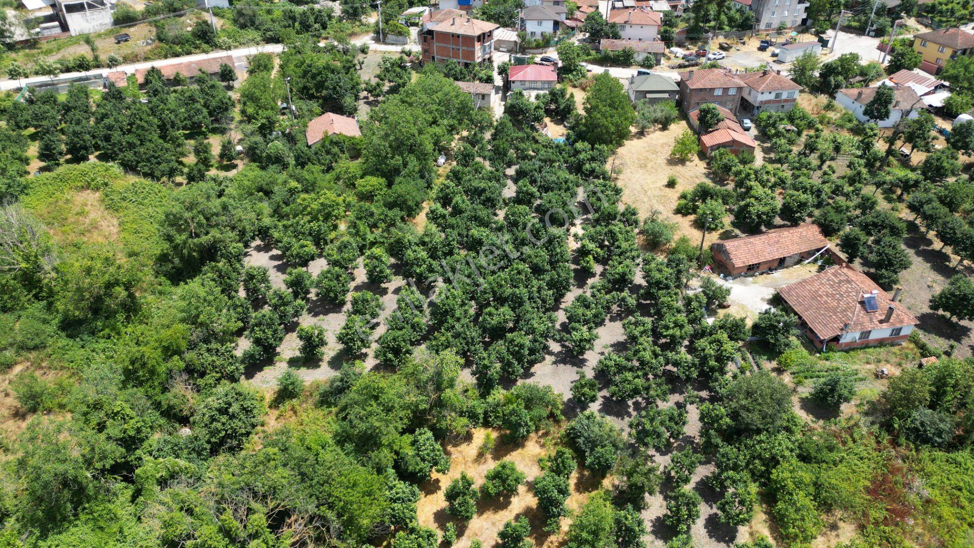 Kocaeli Karamürsel Akçat 860 M2 Konut İmarlı Satılık Bahçe - Görsel 13