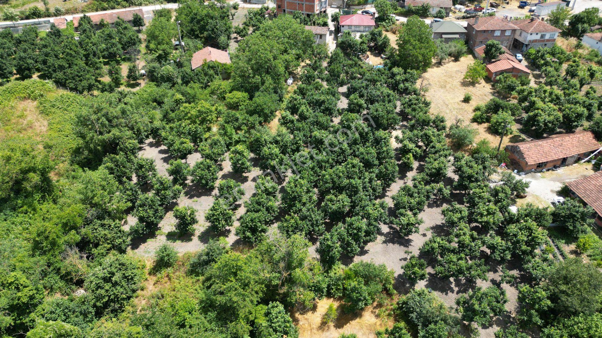 Kocaeli Karamürsel Akçat 860 M2 Konut İmarlı Satılık Bahçe - Görsel 14
