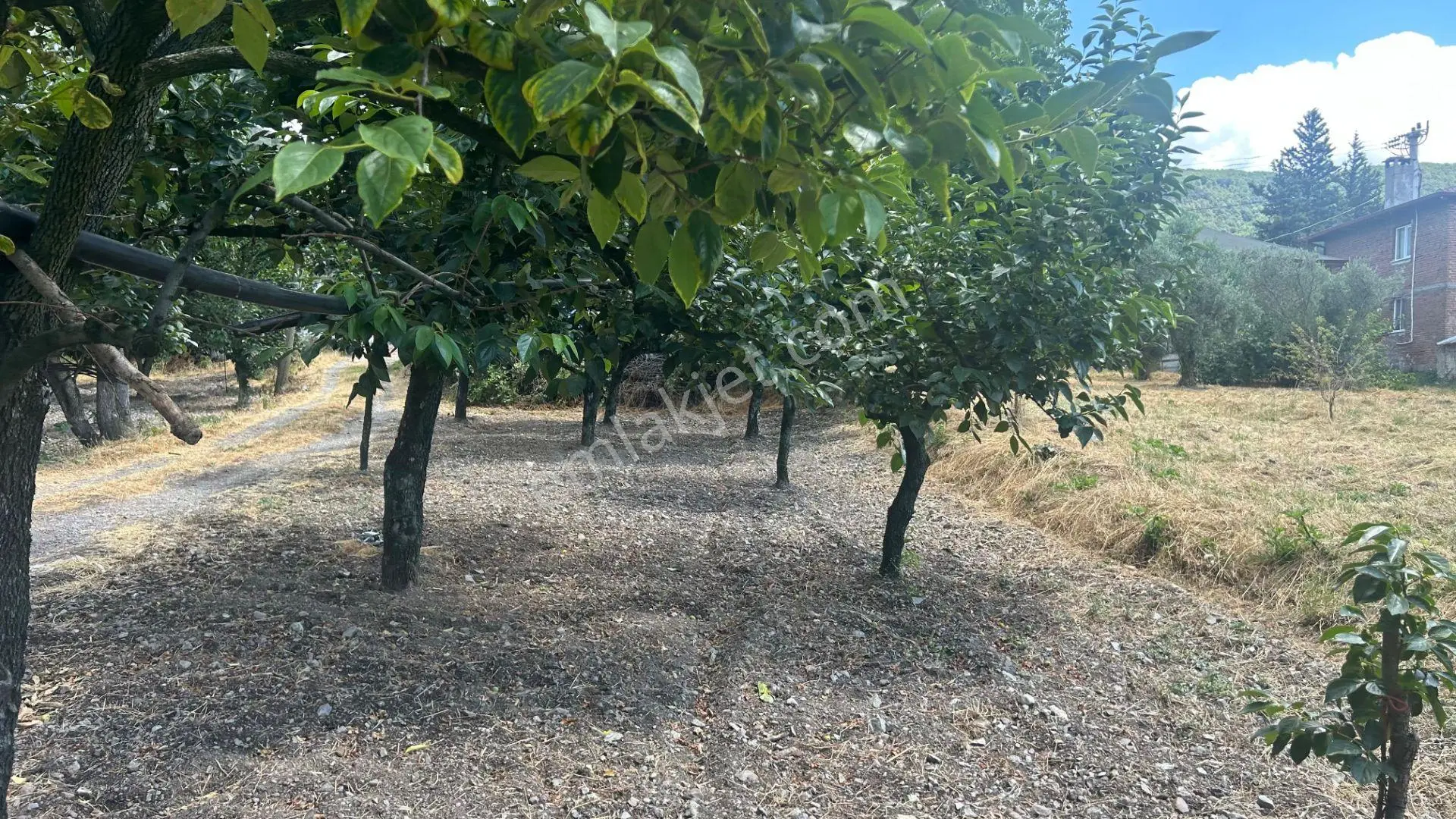Kocaeli Karamürsel Akçat 860 M2 Konut İmarlı Satılık Bahçe - Görsel 5