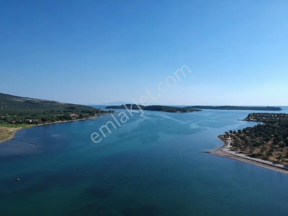 Dikili Bademlide Denize Sıfır 8.413 M² Zeytinlik | 52 Milyon Tl - Görsel 5